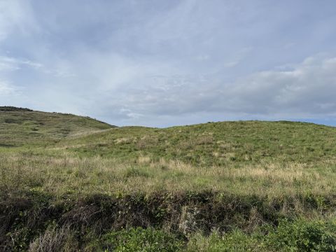 Viale Emilia, 1 - Catanzaro