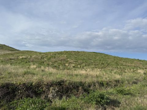 Viale Emilia, 1 - Catanzaro