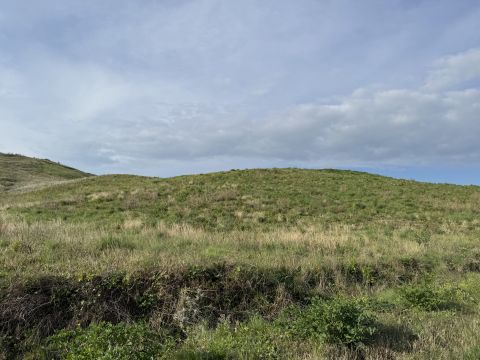 Viale Emilia, 1 - Catanzaro