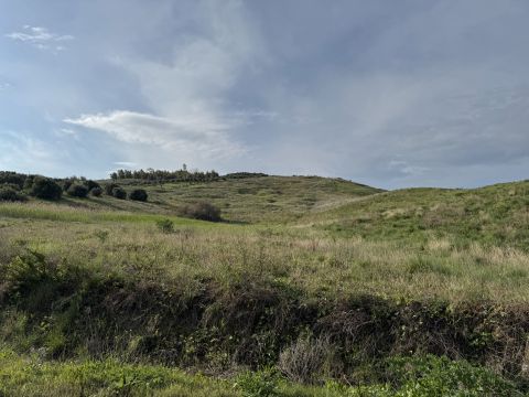 Viale Emilia, 1 - Catanzaro