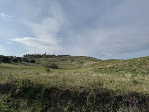 Viale Emilia, 1 - Catanzaro