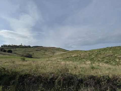 Viale Emilia, 1 - Catanzaro