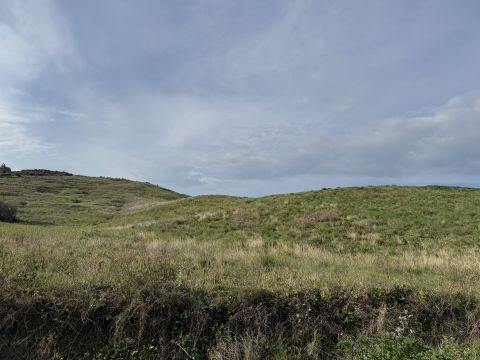 Viale Emilia, 1 - Catanzaro