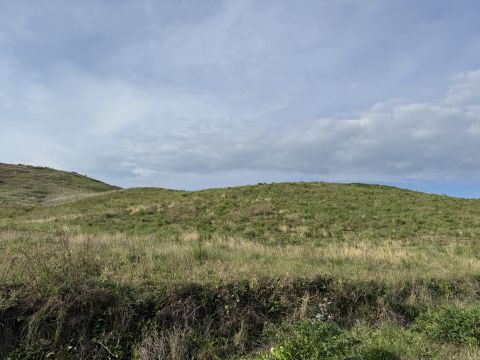 Viale Emilia, 1 - Catanzaro