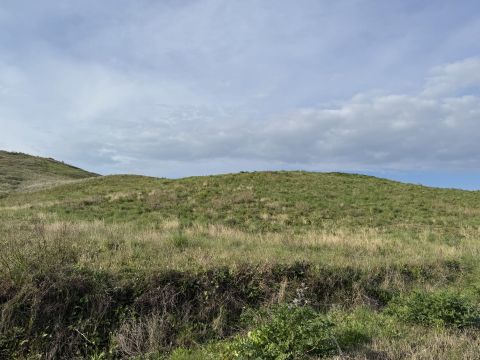 Viale Emilia, 1 - Catanzaro