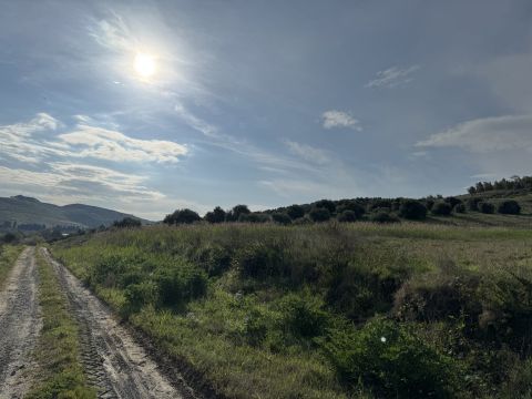 Viale Emilia, 1 - Catanzaro