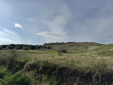 Viale Emilia, 1 - Catanzaro