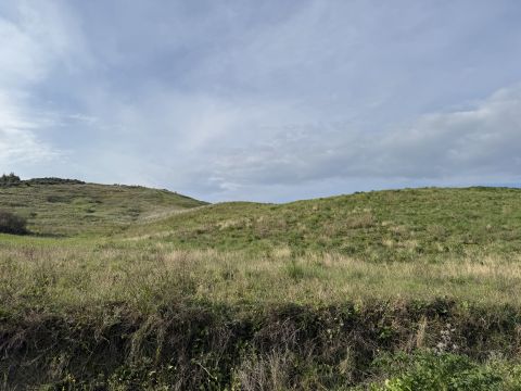 Viale Emilia, 1 - Catanzaro