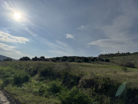 Viale Emilia, 1 - Catanzaro