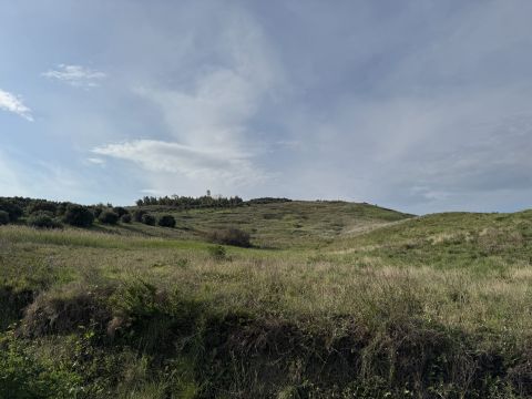 Viale Emilia, 1 - Catanzaro