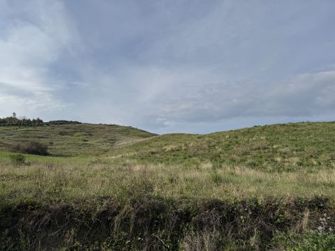 Viale Emilia, 1 - Catanzaro