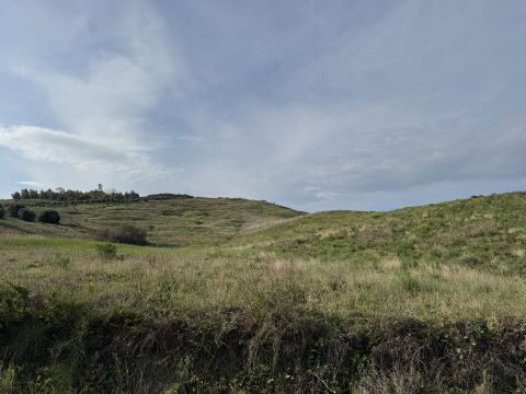 Viale Emilia, 1 - Catanzaro