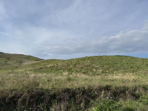 Viale Emilia, 1 - Catanzaro