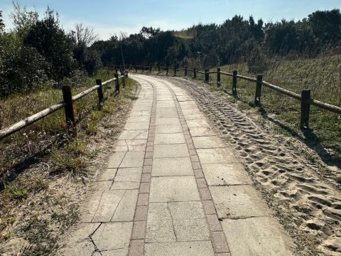 Via Nettuno, 35 - Chioggia