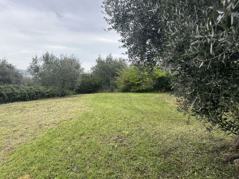 Contrada Montupoli Foro - Miglianico