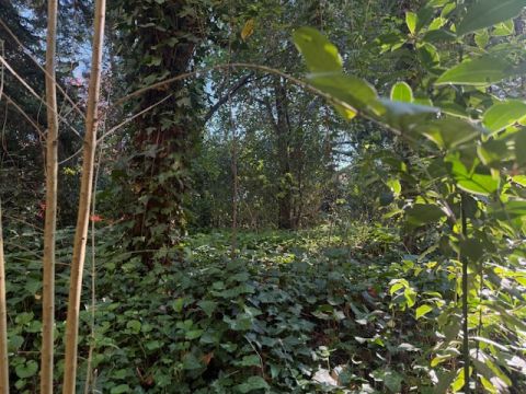 Via Claudia - Maranello