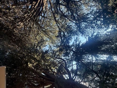 Via Claudia - Maranello