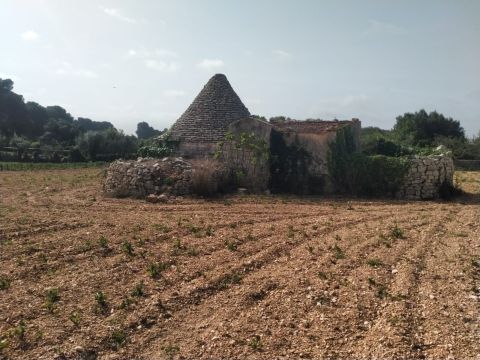 cda Bellasora snc - Conversano