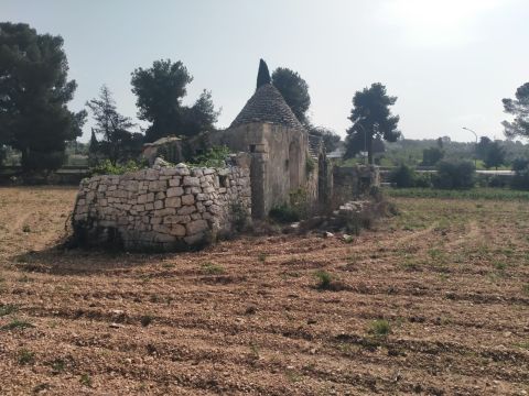 cda Bellasora snc - Conversano