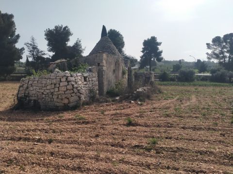 cda Bellasora snc - Conversano