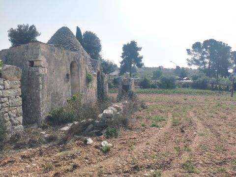 cda Bellasora snc - Conversano