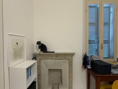 Strada Matteo Renato Imbriani - Parma