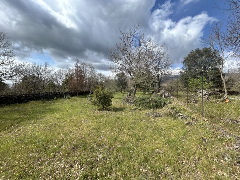 Campo Nessunescluso, Segreta, Belpasso CT, Italia - Belpasso