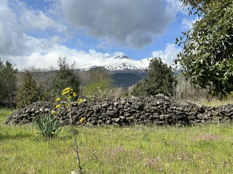 Campo Nessunescluso, Segreta, Belpasso CT, Italia - Belpasso