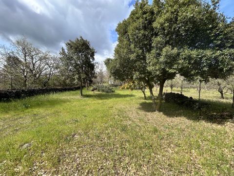 Campo Nessunescluso, Segreta, Belpasso CT, Italia - Belpasso