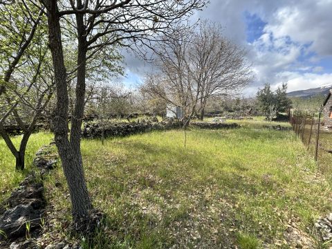 Campo Nessunescluso, Segreta, Belpasso CT, Italia - Belpasso