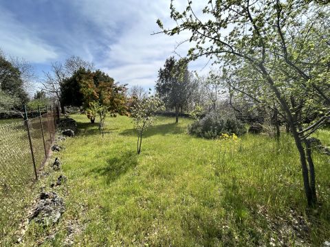 Campo Nessunescluso, Segreta, Belpasso CT, Italia - Belpasso