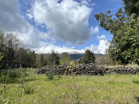 Campo Nessunescluso, Segreta, Belpasso CT, Italia - Belpasso