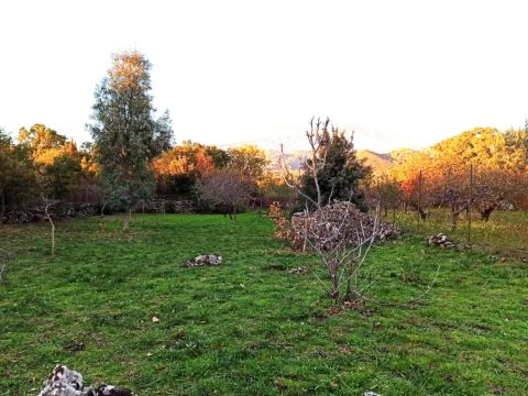 Campo Nessunescluso, Segreta, Belpasso CT, Italia - Belpasso