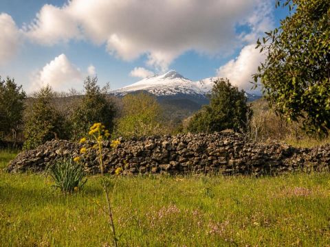 Campo Nessunescluso, Segreta, Belpasso CT, Italia - Belpasso
