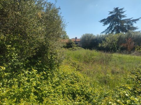 Via Antonio Zanoni, 49 - Roma