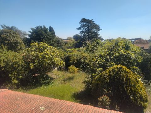 Via Antonio Zanoni, 49 - Roma