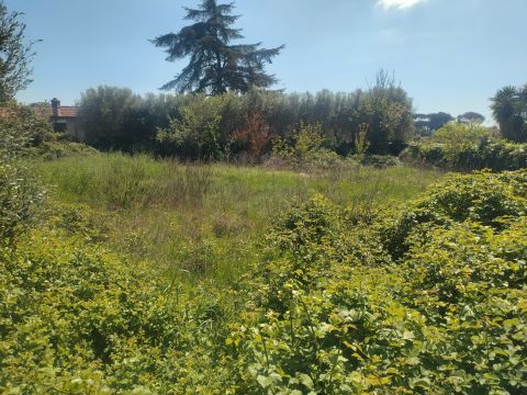 Via Antonio Zanoni, 49 - Roma