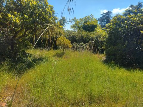 Via Antonio Zanoni, 49 - Roma