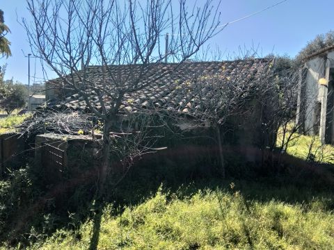 Via Gelsa Grande - Ardore Marina