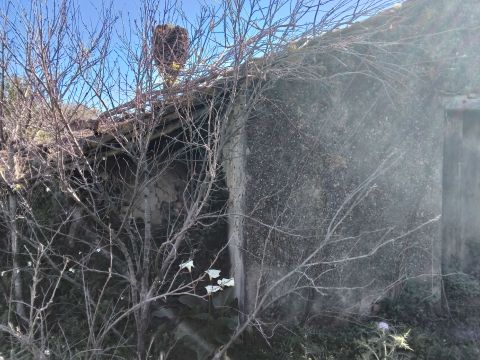 Via Gelsa Grande - Ardore Marina