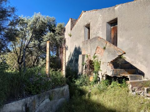 Via Gelsa Grande - Ardore Marina