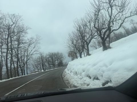 Via Lago delle More - Serramazzoni