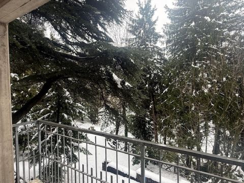 Via Lago delle More - Serramazzoni