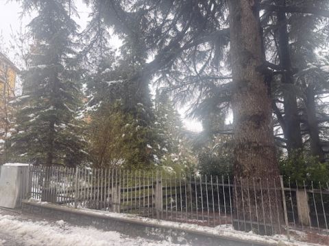 Via Lago delle More - Serramazzoni