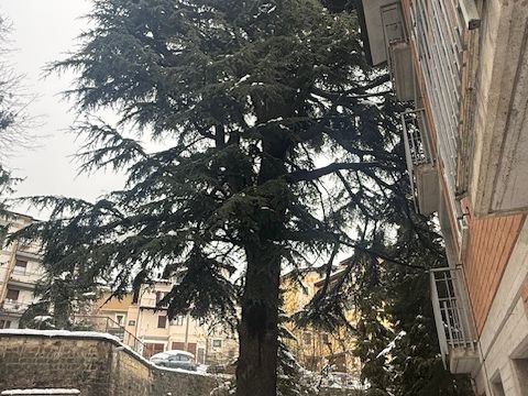 Via Lago delle More - Serramazzoni