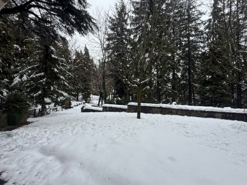 Via Lago delle More - Serramazzoni