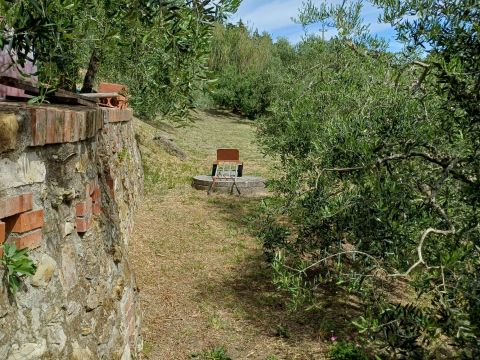 Poggio D'Arco, Rosignano Marittimo, LI, Italia - Livorno
