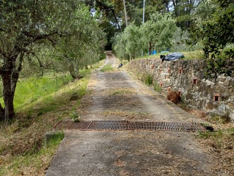 Poggio D'Arco, Rosignano Marittimo, LI, Italia - Livorno