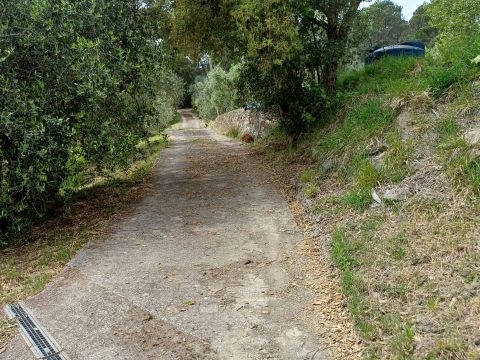 Poggio D'Arco, Rosignano Marittimo, LI, Italia - Livorno