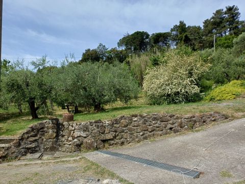 Poggio D'Arco, Rosignano Marittimo, LI, Italia - Livorno